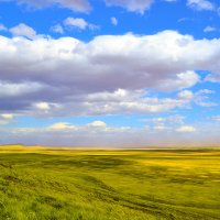 Лето в степи. :: юрий Амосов