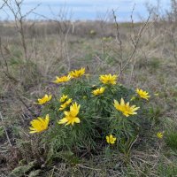 Апрель :: Андрей Хлопонин