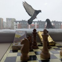 Мир на Земле :: Андрей Хлопонин