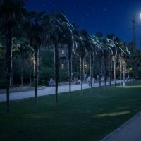 Соавторство с ИИ :: Роман Савоцкий