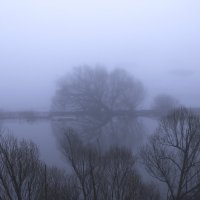 .... :: Вадим Виловатый