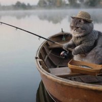 ** :: СЕРГЕЙ ФИЛОЧКИН