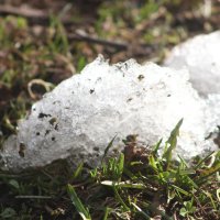 Серенада уходящего снега :: олег свирский 