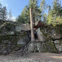 Выборг. Скульптурный парк Монрепо :: Ирэн