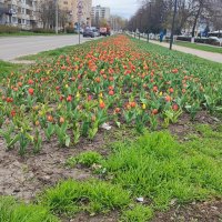 ,,, :: Сергей Тимоновский