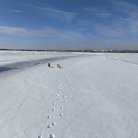 Прогулки :: Anna Ivanova