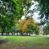 Осень в Коломенском :: Irene Irene