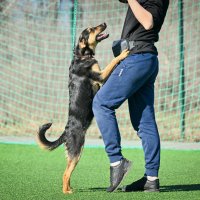 *** :: Андрей Л. В. *** :: Андрей Л. В.