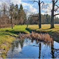 Маленький парковый прудик. :: Лия ☼
