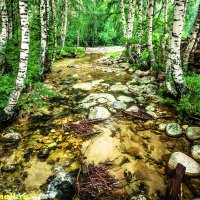 99 :: HART BAD 99 :: HART BAD