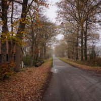 Дорога в осень... :: Николай Гирш