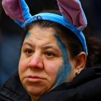 Да заяц я ,заяц.. :: Юрий. Шмаков Да заяц я ,заяц.. :: Юрий. Шмаков