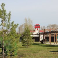 За городом :: Венера Чуйкова