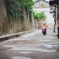 Роллер-Леди :: Сергей Царёв