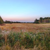 у д.Выскодь :: Артем 