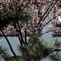 *** :: Павленко Михаил 