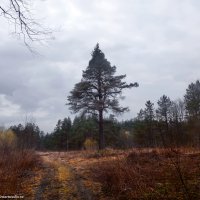 Ранее было зимнее фото этого места. :: Игорь Корф