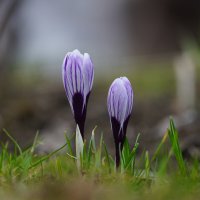 Вместе :: Иван Литвинов