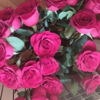 ....... :: Murat Bukaev