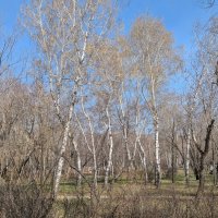 Начинается зелёная неделя :: Андрей Хлопонин