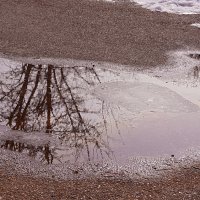 Перевёртыши :: Галина Кан