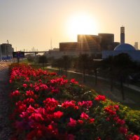 В вечерних лучах солнца :: Галина Ильясова