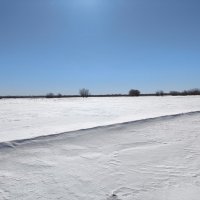 Весна :: Anna Ivanova