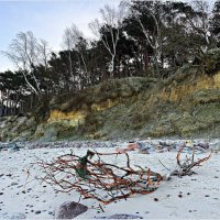 На берегу моря. :: Валерия Комова