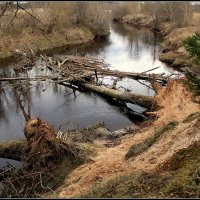 Апрель :: Aleksandr Gal