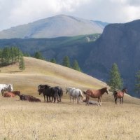 Гармония природы :: Марина Фомина.
