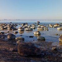 Серединка апреля.. :: Татьян@ Ивановна