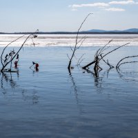 Озеро Иртяш :: Сергей Яковлев