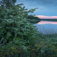 Майское :: Фёдор. Лашков
