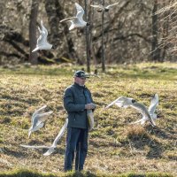Про Питер :: Владимир Колесников