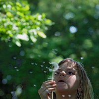 Одуванчик :: Valziwa 