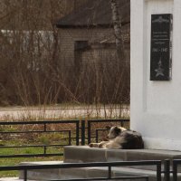 Провинциальные зарисовки :: Елена Минина