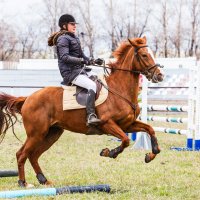 Конкур :: SanSan 