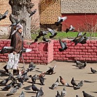 они ждали её..... :: Любовь 