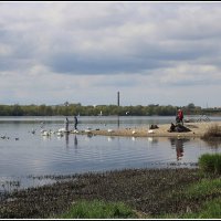 *** :: Aleksandr Gal