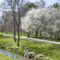 На набережной Салгира :: Валентин Семчишин