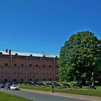 ПИТЕР. :: Виктор Осипчук