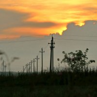 Фантазии природы :: ZNatasha -