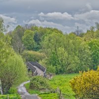 16.04.2026 Зеленеет :: Jakob Dick