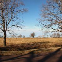 Парк Александрия :: Наталья Герасимова