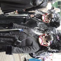 Карнавал :: Алла Булашевская