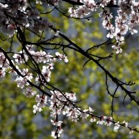 *** :: Павленко Михаил 