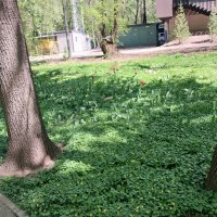 ........ :: Murat Bukaev 