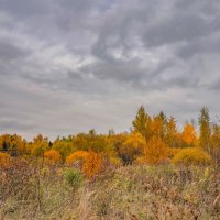 Небо октября... :: Владимир Жданов