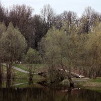 Апрель не подрумяненный :: Андрей Лукьянов