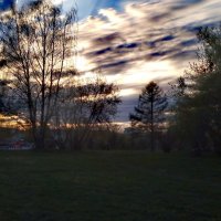 Тёплым вечером :: Сергей Кочнев